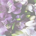 flowerbackground