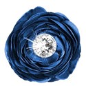 element 107