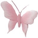 pink butterfly