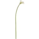 branch-ss_mikkilivanos