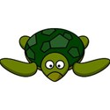 turtle swimming