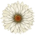 FM-Flowery Summer Element (4)