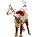 BD_Reindeer_01