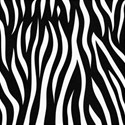 AYW-WildAtHeart-ZebraPaper