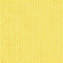 AYW-WildAtHeart-YellowPaper2