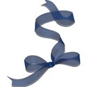 navyribbon