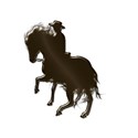 cowboydarkbrown