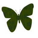 greenbutterfly