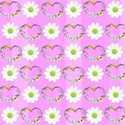 pink hearts and daisy background