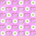 pink hearts and daisy background