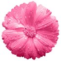 ss_preciouspetals_flower2