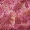 ss_preciouspetals_paper_pink3