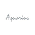 zodiac_chrome_aquarius_scchua