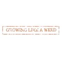 cala_ growing stamp