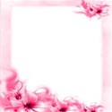 pink floral corner background