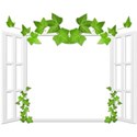 BD_Window_01