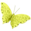 Butterfly_03