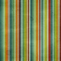 cala_striped