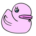 Pink rubber duck