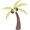 kitc_beach_palm