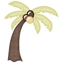 kitc_beach_palm2