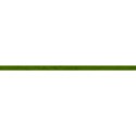 bos_sc_ribbon05