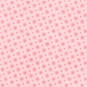 bos_sc_paper07