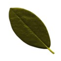 leaf1