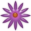 jThompson_summerfun_flower