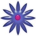 jThompson_summerfun_flower4