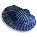 AYW-DepoeBay-Shell4