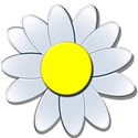 bluefloweryellowdaisy