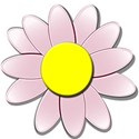 redfloweryellowdaisy