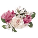 pink and white rose bunch