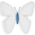 Butterfly white