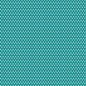 paper6