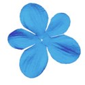 DZ_ALW_Blue_Flower