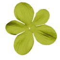 DZ_ALW_green_Flower