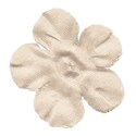 DZ_ALW_whiteFlower