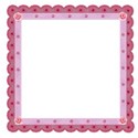 pink rose frame