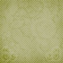 17gypsy rose background papergreen