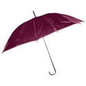 BD_Umbrella_01