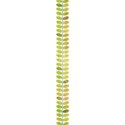 leaf stem border