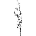 DD_BeClassic_branch01