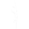 DD_BeClassic_branch02