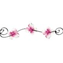DD_BeClassic_stringflower