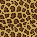 leopard background