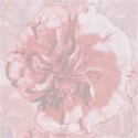 carnation pastel red background