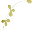 DD_ColdWhisper_branch02