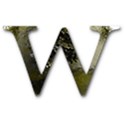 w